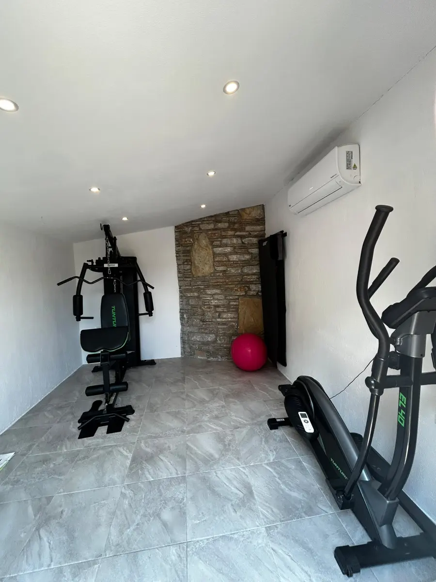 Alice-gym-31