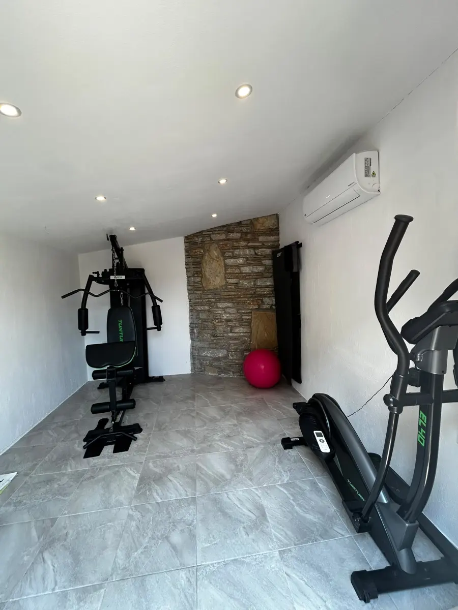 Alice-gym-41